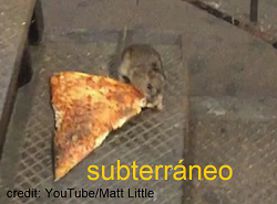 pizzarat